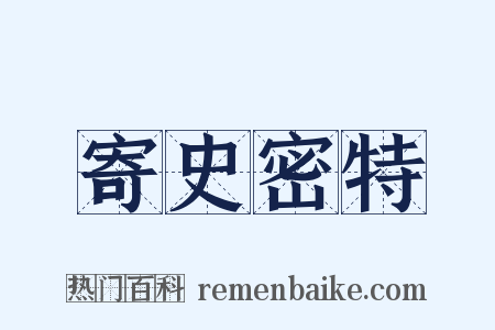 寄史密特是什么意思的图片